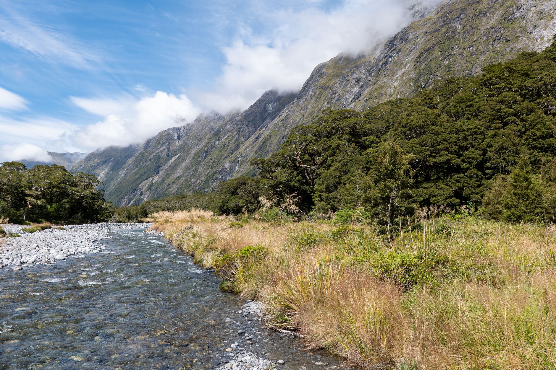 Fiordland Great Walks hiking expedition