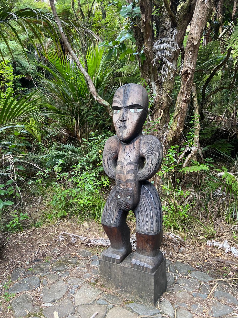 Cultural Eco-Tourism in North Island New Zealand